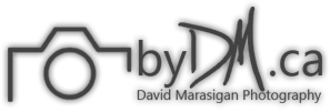 David Marasigan Photography